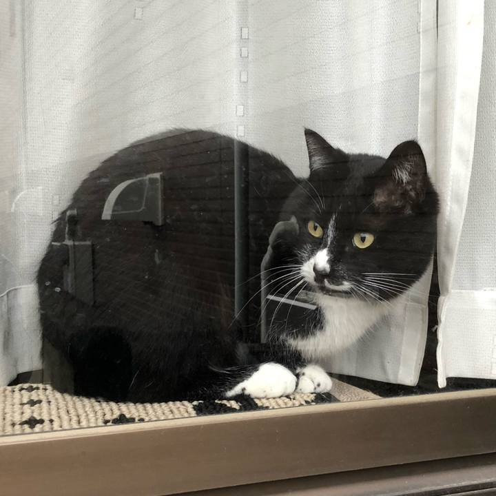 Ca61bb25 76a6 43de 8307 7e42a537aa92 1585021835467