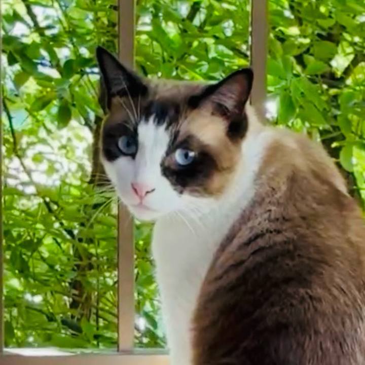 Ca6203ef ab00 4062 beaa a48d4687bd5f 1753754729822