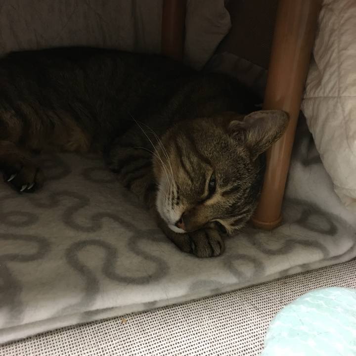 Ca622be5 ba93 49d7 8bac 1b11f8f80349 1525352021242