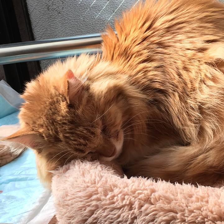 Ca6253fb 7a22 4194 a08e 426a82d83783 1519041709751