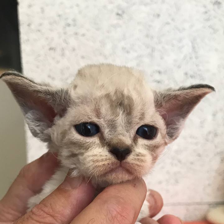 Ca625cf8 f0ca 4793 894f d3170770bbbf 1577175988761