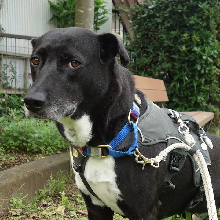 Ca626bca fd75 4fba 97c5 6784c5f1c26f 1654384941694