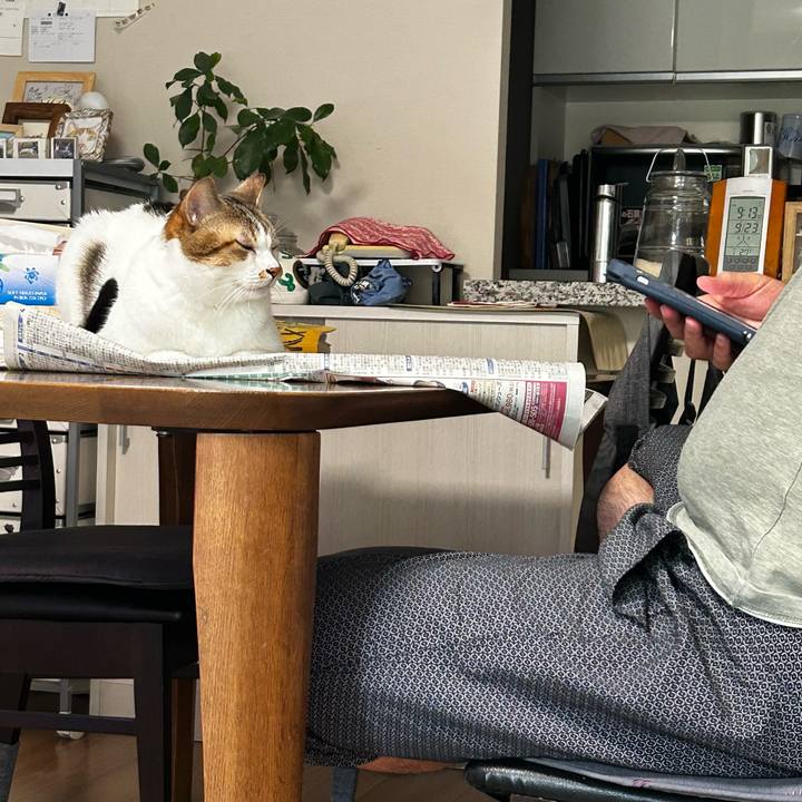 Ca626d99 857a 48bb abe2 ca0a704d4243 1758589128283