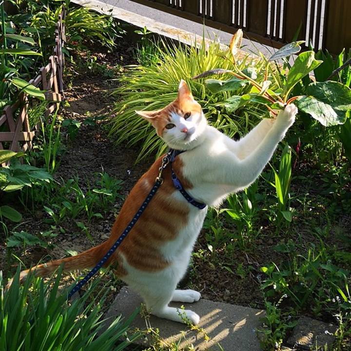 Ca62ee5b b6ed 4302 b3f6 17adb8c9ed27 1558620291417