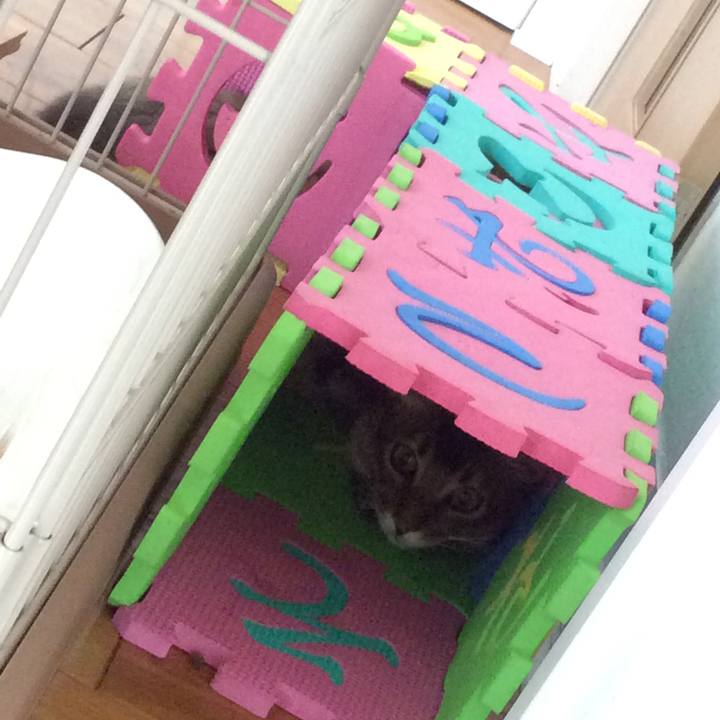 Ca630842 9447 48ff 9f8d 5cf75decb78b 1567053259728