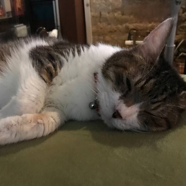 Ca63338c 345c 4868 b101 d456715cf5b1 1565751281887