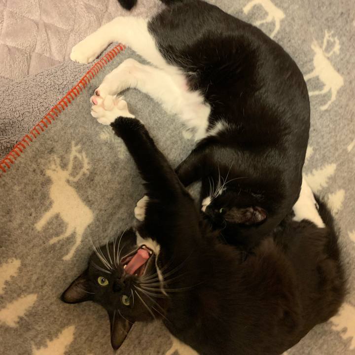 Ca634463 d325 4e4e 9a3c 605db92e3cff 1573010806500