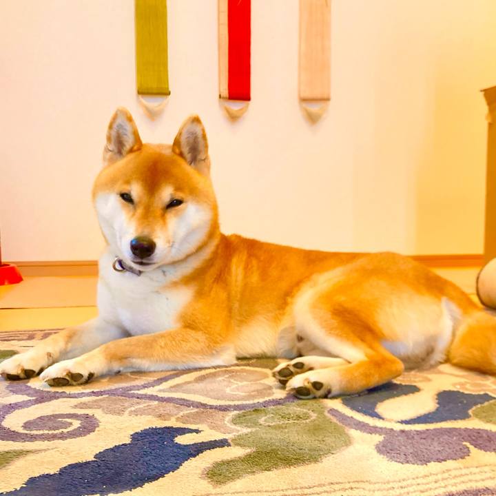 Ca638c32 cc78 444e b404 4032e1c2285b 1676024220598