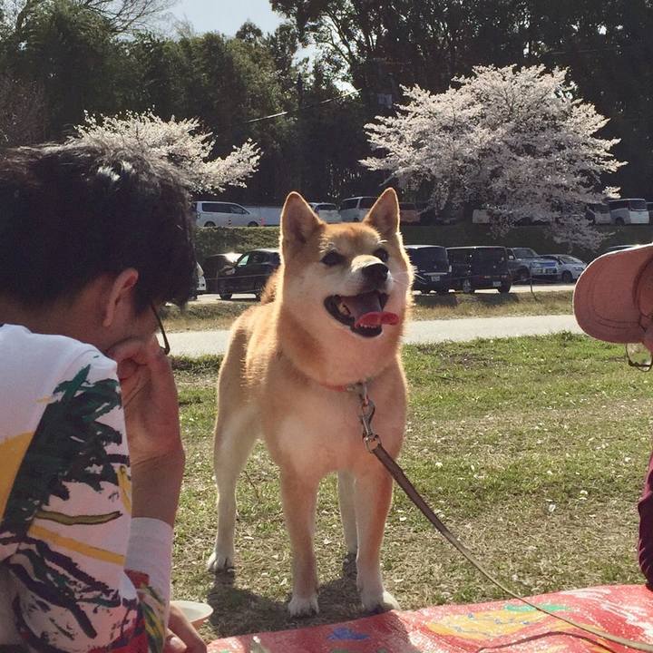 Ca639023 da2c 494b 809b ea4796b19f97 1522422138597