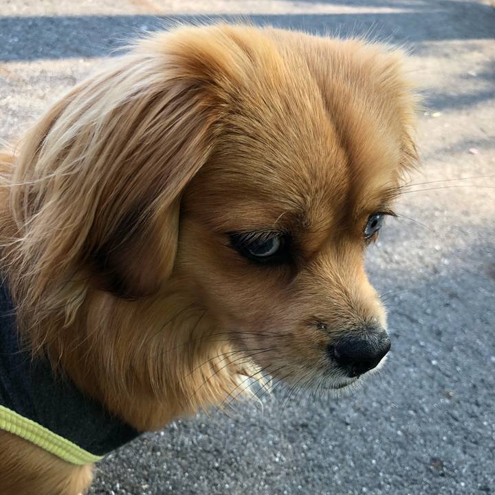 Ca63f46c b85e 4569 9a68 d4b294b8b40a 1524350575540