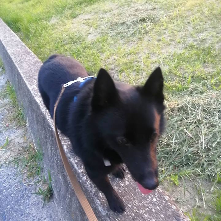 Ca6409d3 48da 4bca 87b3 51cf29c15778 1627853123430