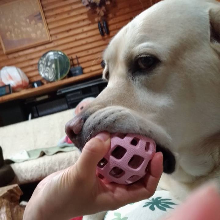 Ca640c55 a0bb 4b3e 9cd5 db9b79fbf894 1639066234564