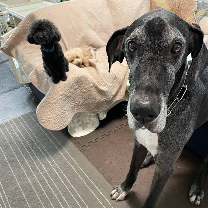 Ca644bf1 bf2e 48f0 841b 79947b338fe9 1622413589908