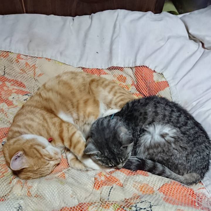 Ca645783 8576 4e95 8ed5 3b09d04e8660 1573648785880