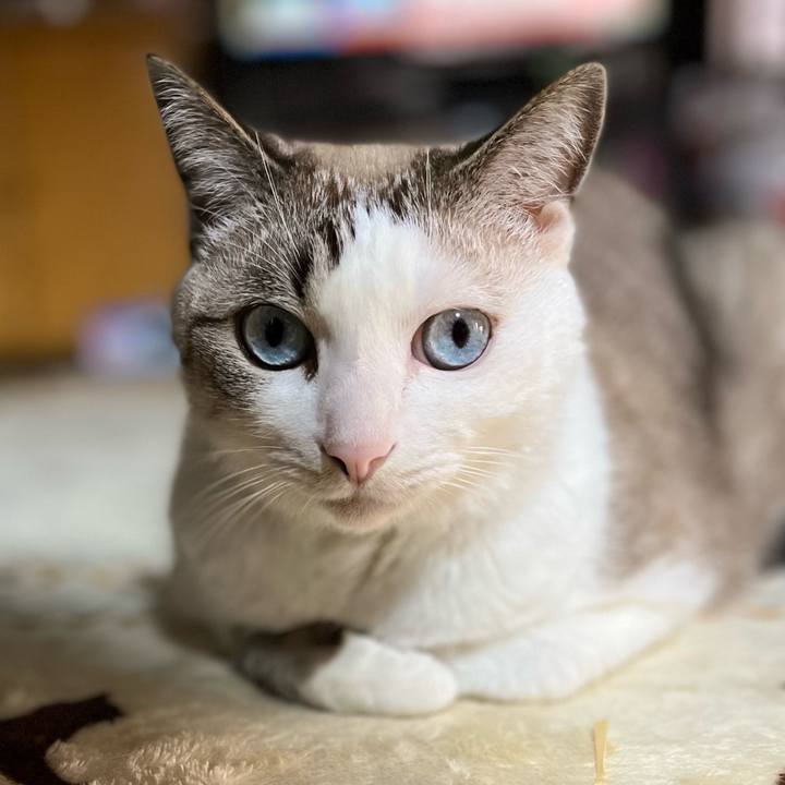 Ca6479f2 3ce9 43d0 acac 77c76dfce9a0 1640823514836