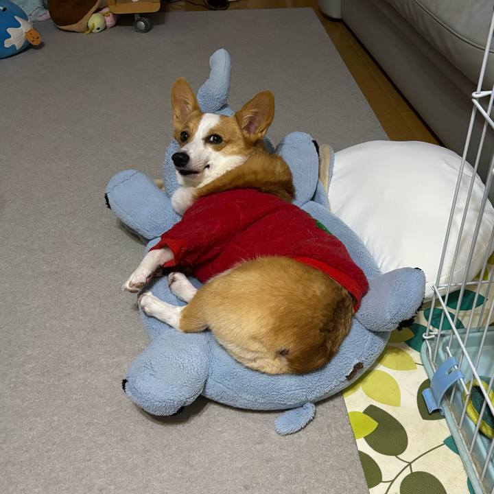 Ca648b1a 2b18 4c6a 9e3c 52f7d79e82a7 1765630773234