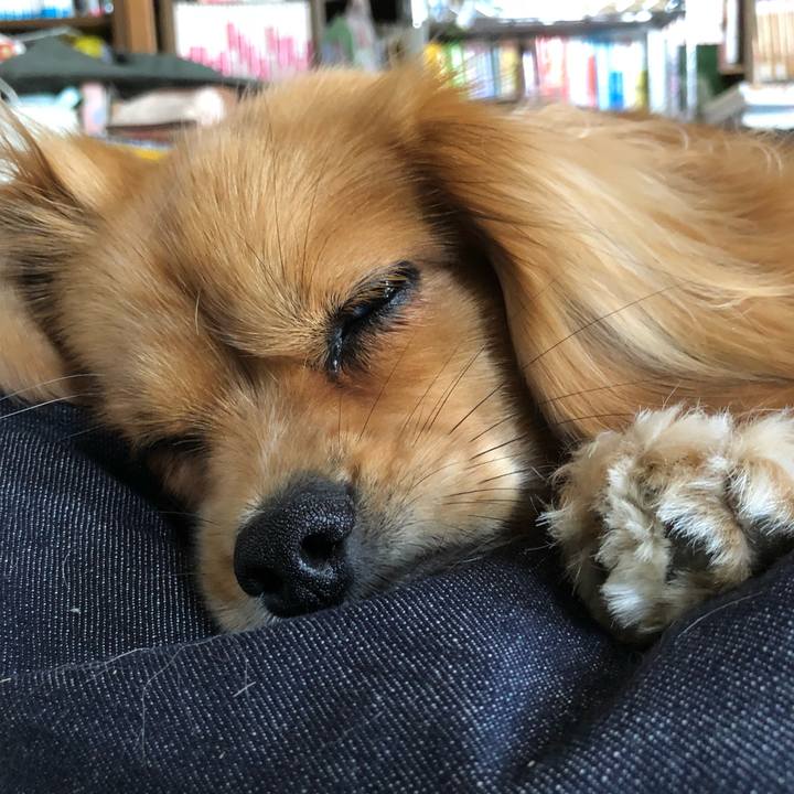 Ca648e5f 8fc6 4a46 b31c 917ae2294062 1526856320923