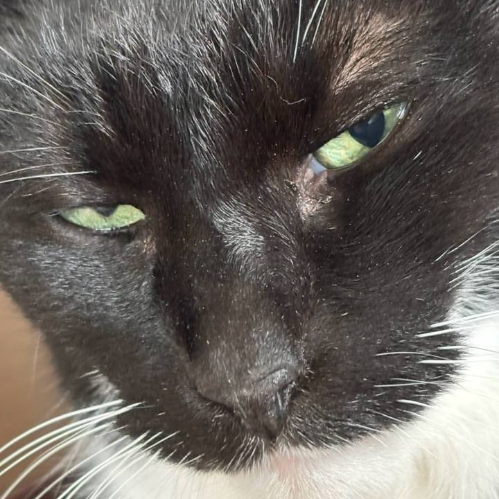 Ca649566 2266 4e0a 8c9e ad208031aa8c 1767181588965