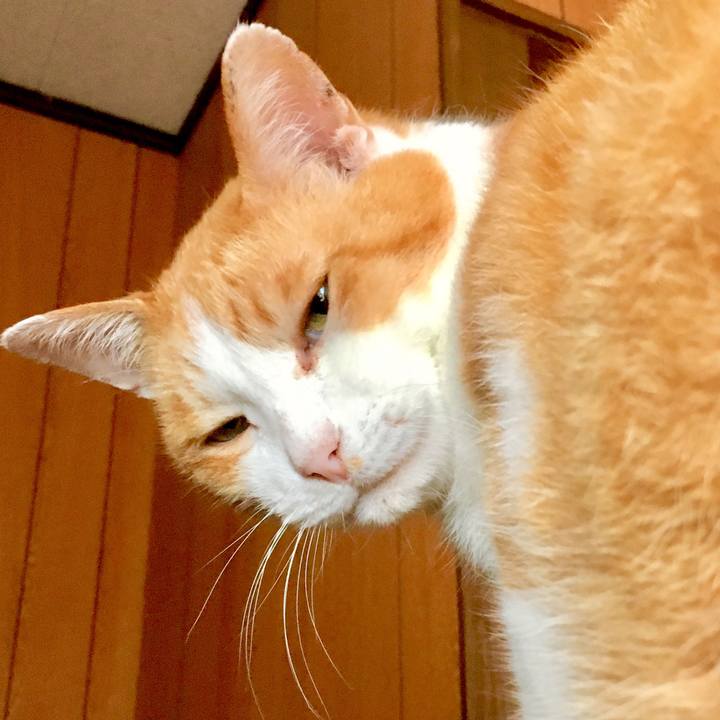 Ca64a90a 8c4b 4c8a b800 e1b86b744e75 1562653929412