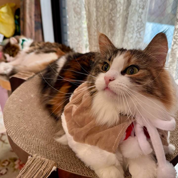 Ca64be81 e426 4071 ad51 1459653f04fb 1765770501549