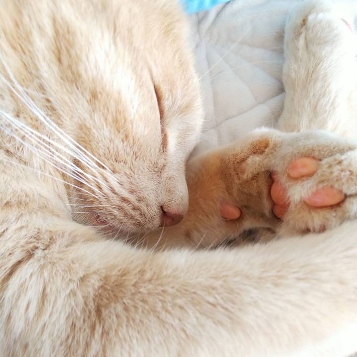 Ca64eacc 4aa7 4aa6 9e29 e1b3a8753bde 1659760288190