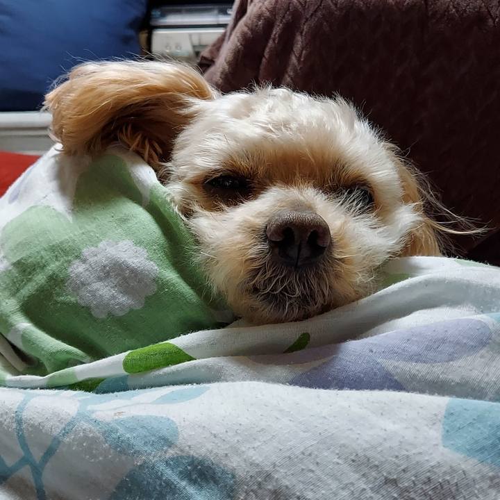 Ca6524df e694 4f4a 9d95 c6ee5aa51b75 1677985457314