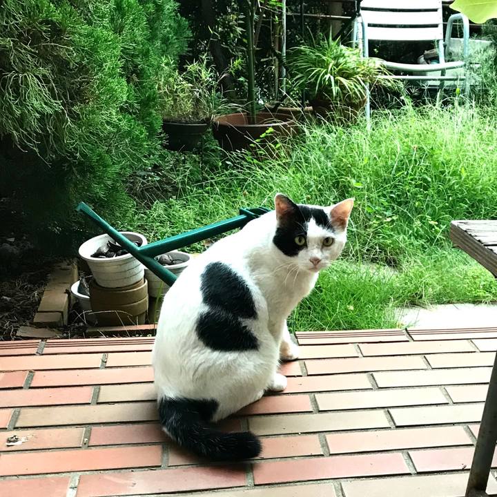 Ca653485 6fc8 4bd8 8b39 4fb2ddca817a 1570589674811