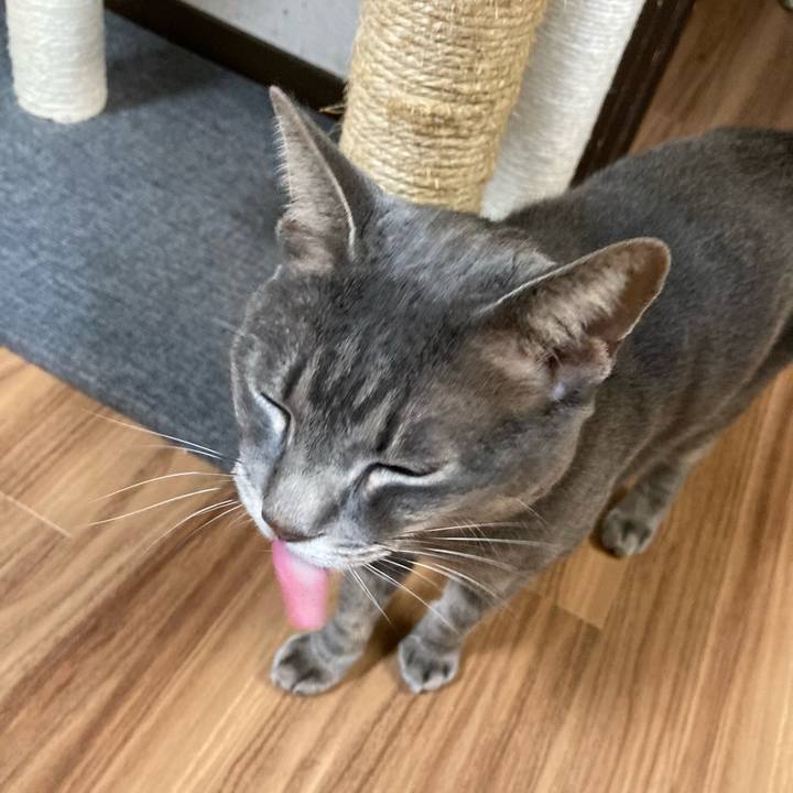 Ca65921b c350 4d77 a3fc 3bba3ce8febc 1602676651994