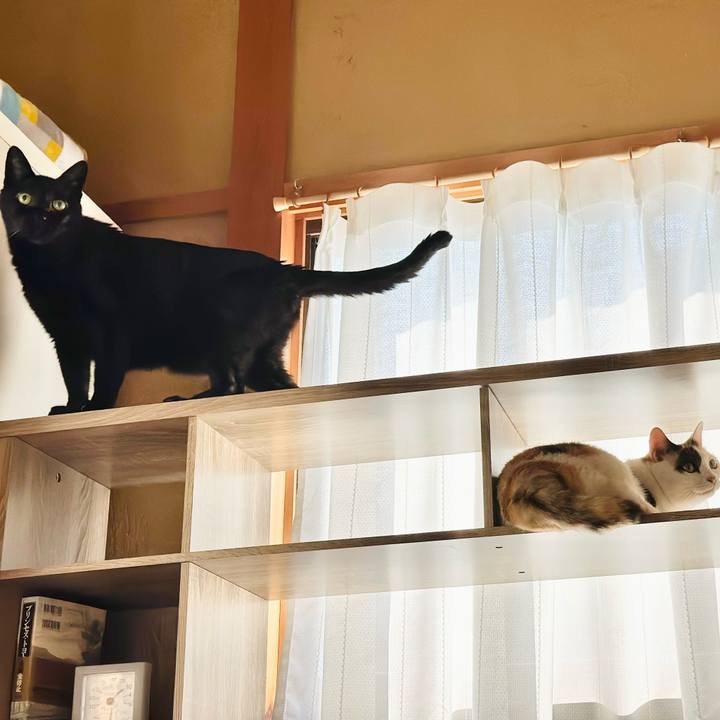 Ca65994c aed4 41c1 9603 651770b43e5c 1696729379023