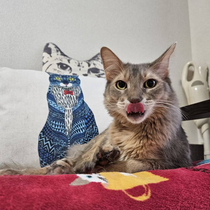 Ca65cbba 9dad 449b beb2 aaa4e1cfe074 1705132547985