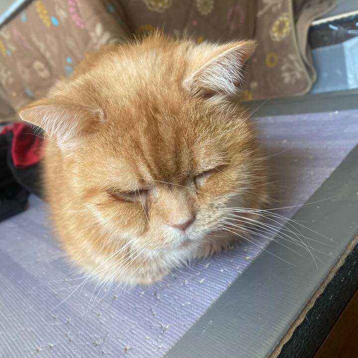 Ca65fd73 12fc 4bbd 9fd3 efceddb2afeb 1681002965649