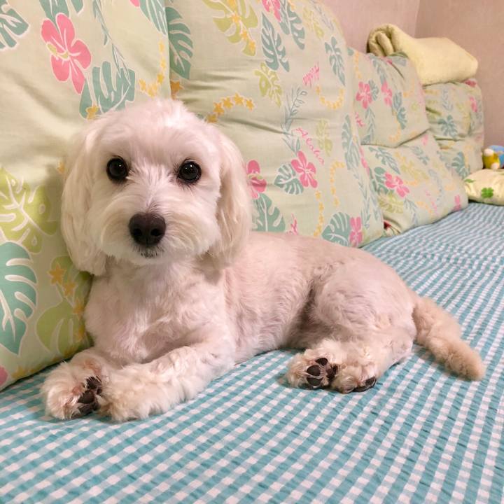 Ca660614 d4e6 4816 95af af29829063ad 1531697917841