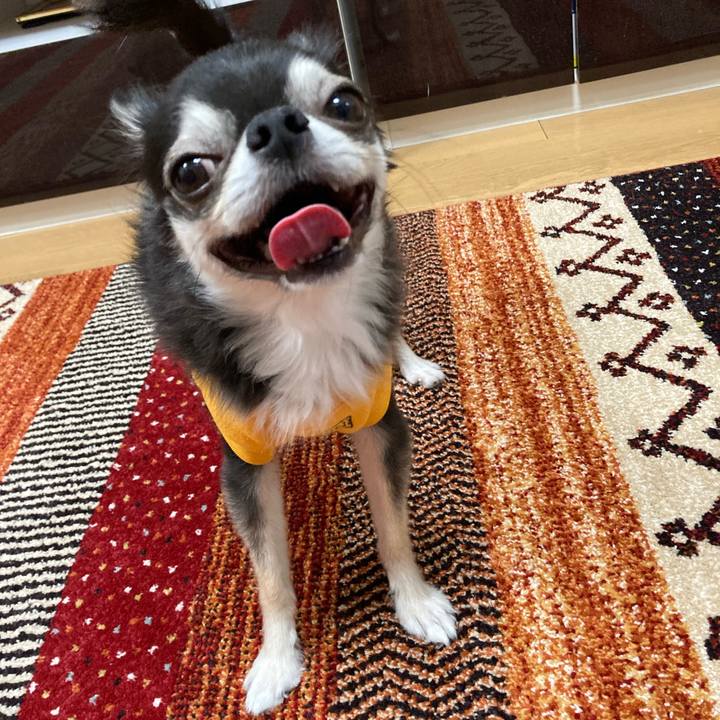 Ca661d0c 6f62 4917 af55 45821a31bcdc 1670688011103