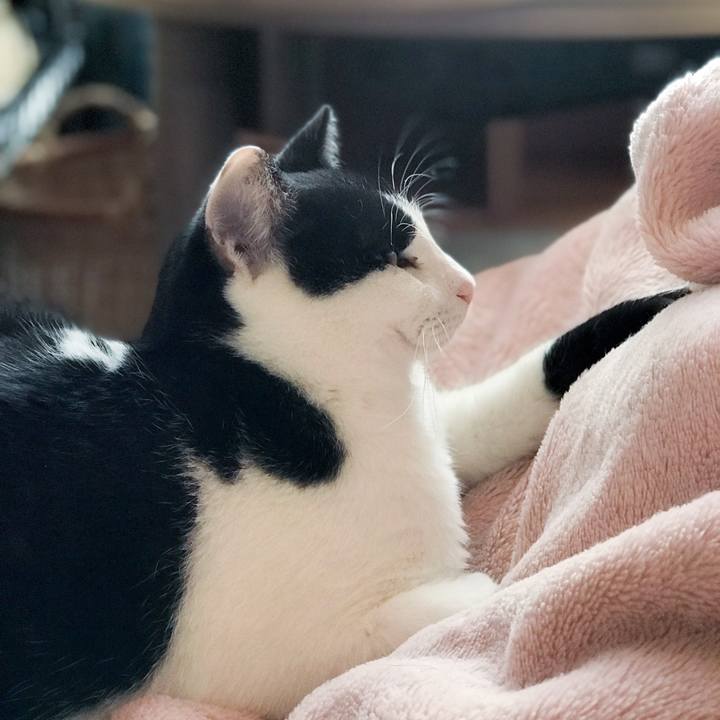 Ca664564 b815 4814 9422 4951074cce18 1510537117198