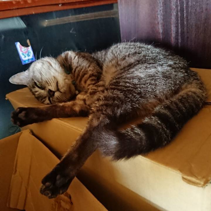 Ca664567 41ff 41e3 acd2 cbbc9190c53b 1564637197795