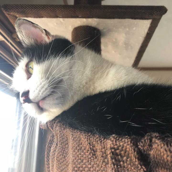 Ca66771f 3c2b 4b71 9167 a0b8fe4aa7ad 1554430338664