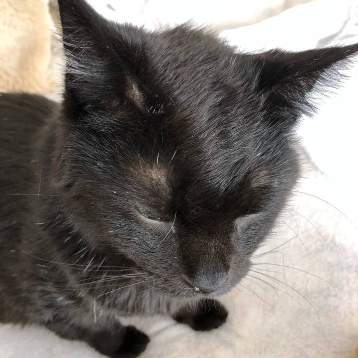 Ca668bc8 4eb5 4a76 a740 2bb4f1be82f7 1614387810418