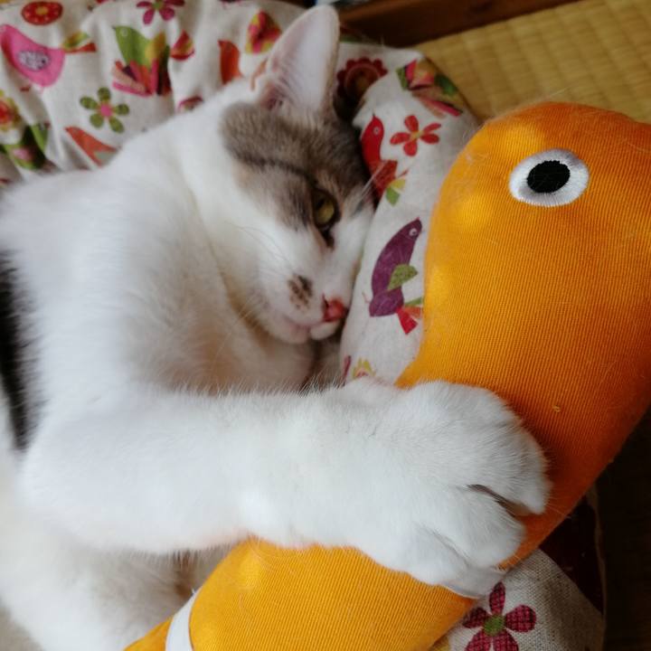 Ca66b6ca f371 45db a9ed 4ed8ceeec26b 1567573802098