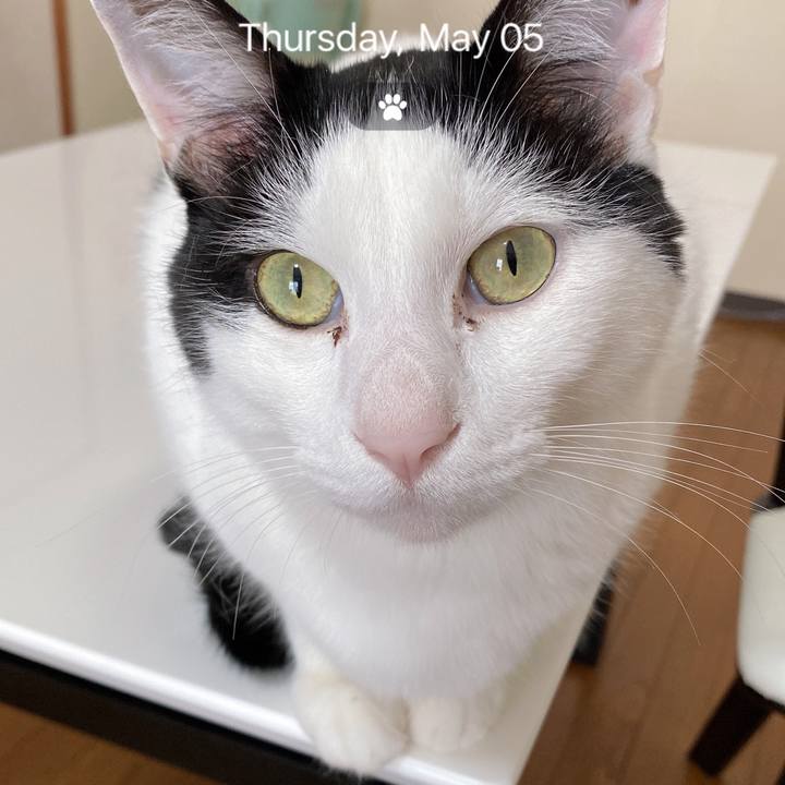 Ca66bdc3 082f 4173 8da4 db6034f731b1 1651712167050