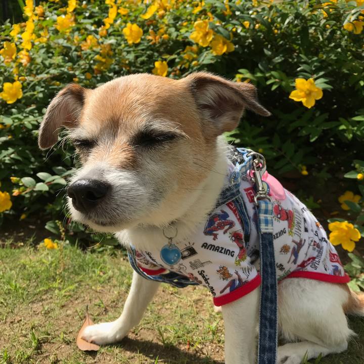 Ca66cb19 1915 4327 bb0c 41412cf8ebf5 1622692814676