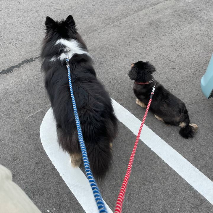 Ca66e10c fd1a 48f4 b6c4 9099fa61e421 1625090771484