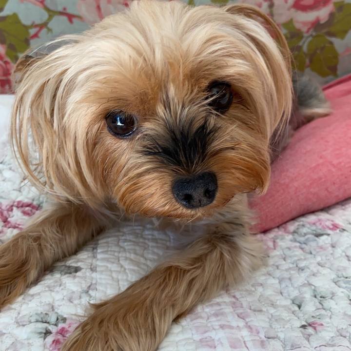 Ca66f587 4368 414e 8616 f9d6c9b928db 1633653503730