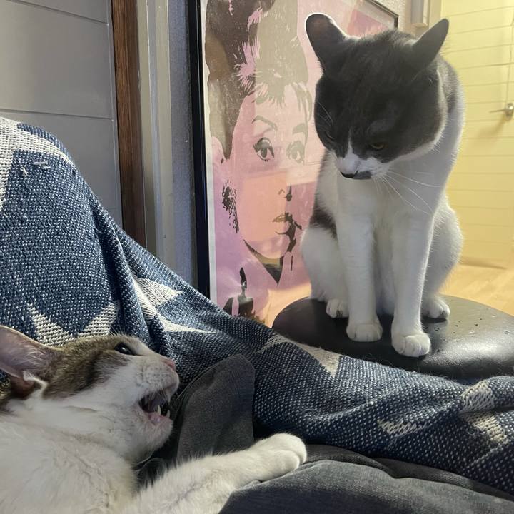 Ca671925 3023 43d4 9ce5 2ebabcd6b599 1624446464671