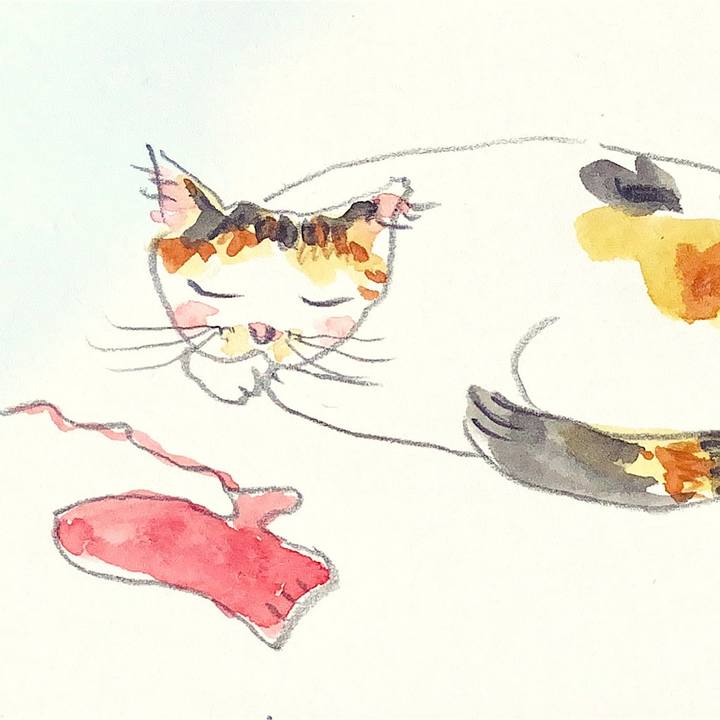 Ca673684 11b0 47ed bab1 ee97a44b0611 1676890266662