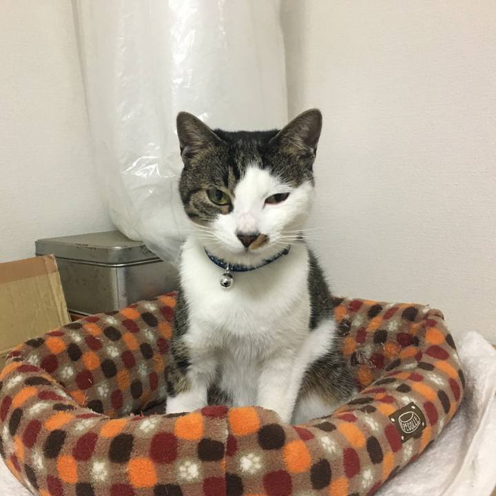 Ca67553f 62d4 4a74 9b06 1f48b06e46b6 1542172534282