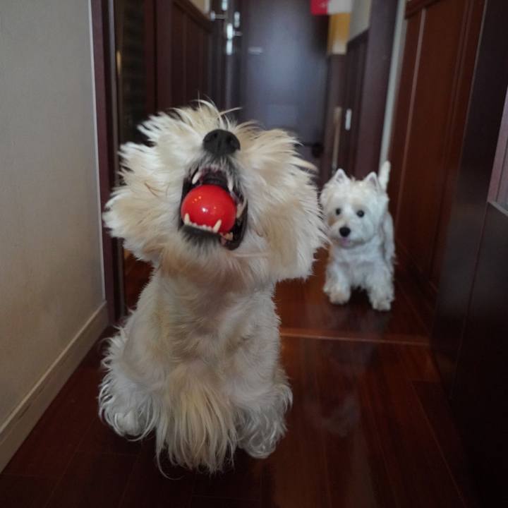 Ca675a52 d8ab 4489 9fc9 f6ef8f7dffa4 1520318723499