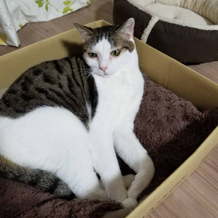 Ca676a34 6800 4a62 a6e6 b5ec374c3c4d 1615289743368