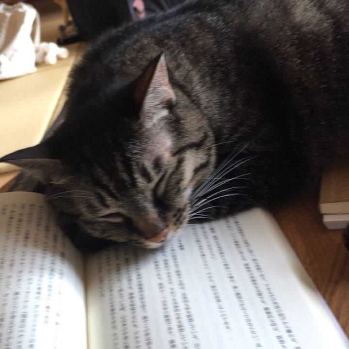 Ca67c0a7 5778 4db1 a1a4 3d063c65a9fc 1534937483021