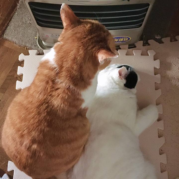 Ca67c689 dedc 4fb2 8480 6235b7aa27ef 1608016399133