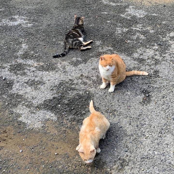 Ca67d354 1ada 47c3 8713 ff6853e0b1aa 1628468963836